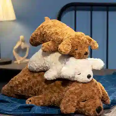 50cm75cm
