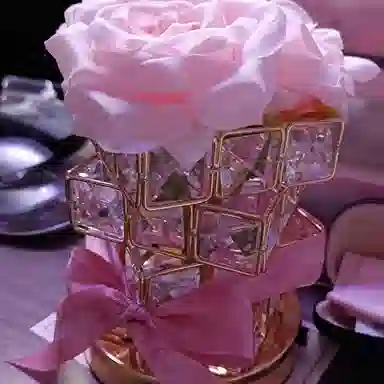 胖胖龙 玫瑰花魔方氛围台灯 永生花小夜灯 玩具