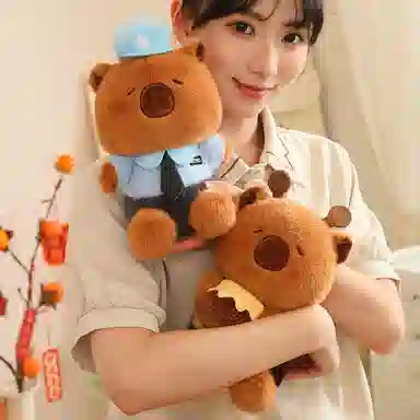 25cm