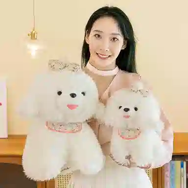 33cm45cm
