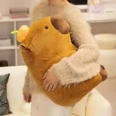 40cm60cm