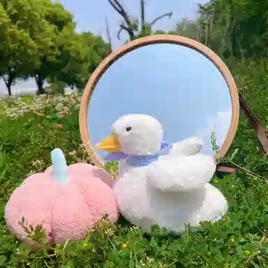 20cm
