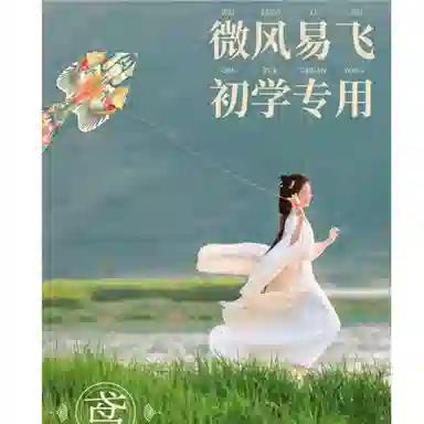 胖胖龙 微风易飞 新国风沙雁风筝 益智 玩具