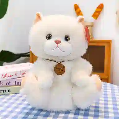 25cm33cm