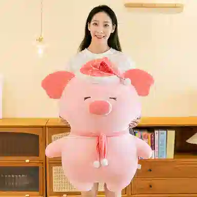 25cm38cm50cm75cm