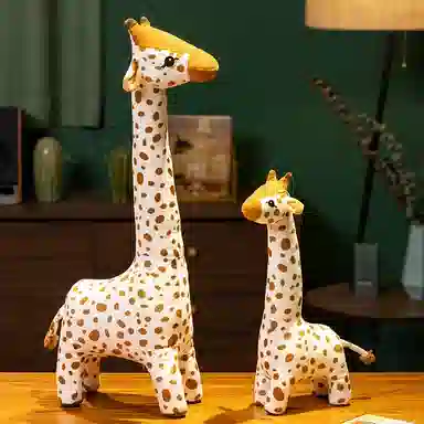 40cm65cm