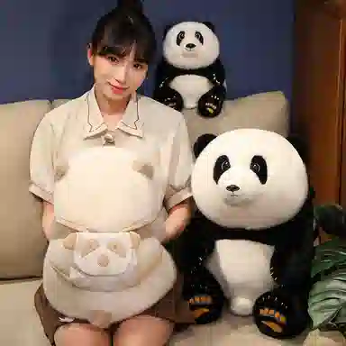 25cm40cm50cm55cm75cm