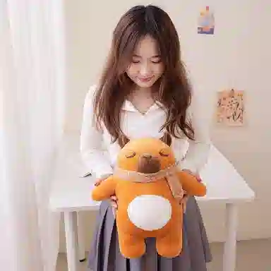 25cm40cm