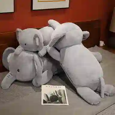 60cm80cm100cm120cm