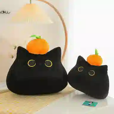 40cm55cm