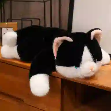 30cm45cm65cm