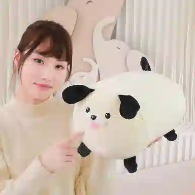 19cm22cm