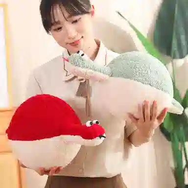 45cm60cm