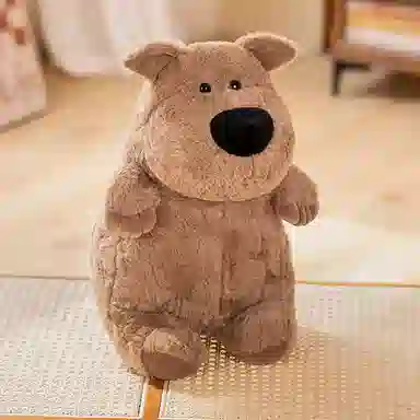 40cm