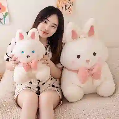 35cm55cm