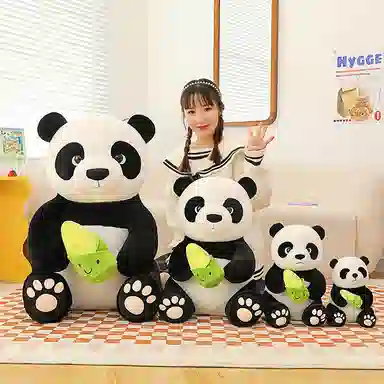 75cm25cm35cm50cm