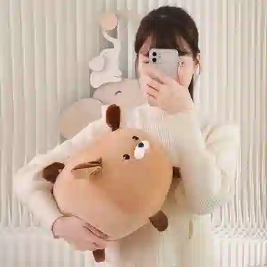 19cm22cm