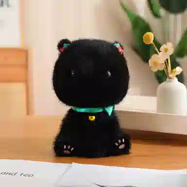 25cm