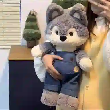 50cm