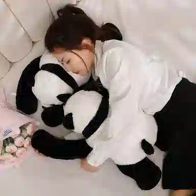 胖胖龙 可爱长臂熊猫 玩偶 毛绒公仔