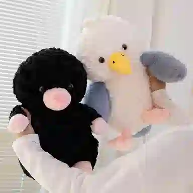 25cm35cm