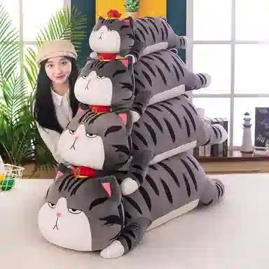 60cm80cm100cm120cm