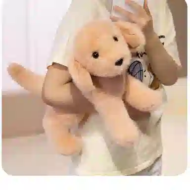 30cm36cm43cm