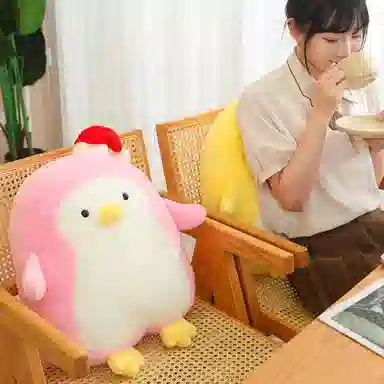 50cm
