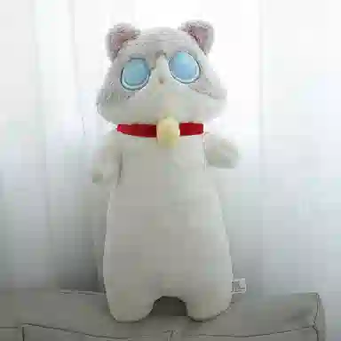 65cm