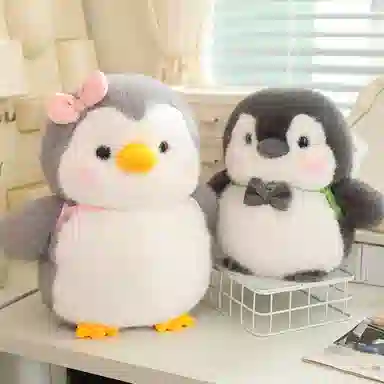 25cm35cm