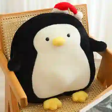 50cm