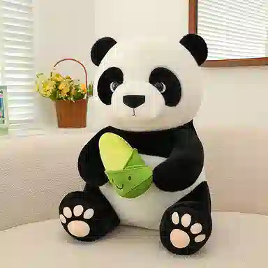 75cm25cm35cm50cm