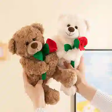 30cm