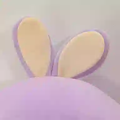 50cm65cm75cm85cm