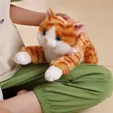 48CM