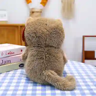 25cm33cm