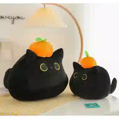 40cm55cm