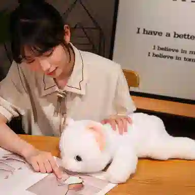 30cm45cm65cm