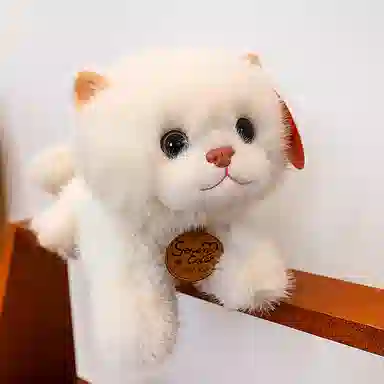 25cm33cm