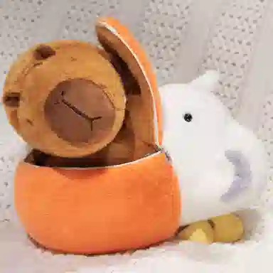 25cm30cm