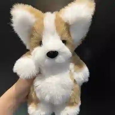 30cm