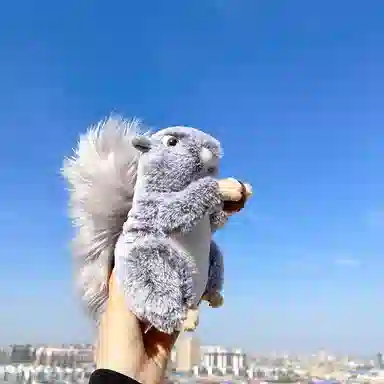 20cm25cm