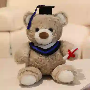 25cm