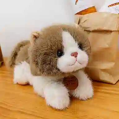 25cm33cm