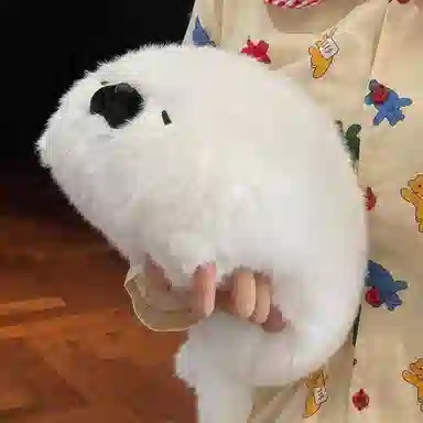 40cm