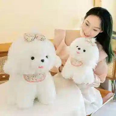 33cm45cm