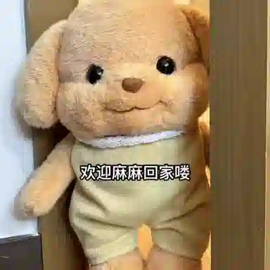25cm30cm40cm