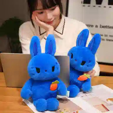 38cm55cm80cm110cm