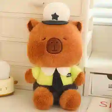 25cm