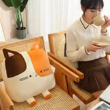胖胖龙 卡通猫咪方形抱枕 玩偶周边